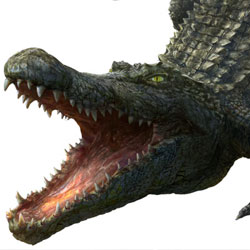 Crocodiles