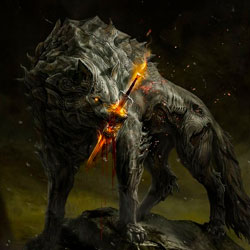 Loup blessé