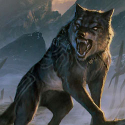 Meute de loups