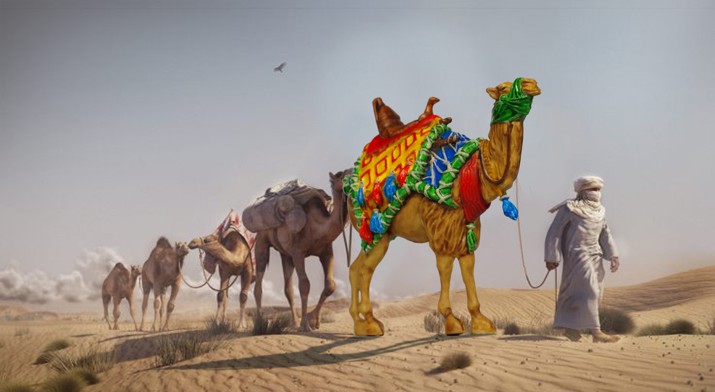 Concours de chameaux amateurs