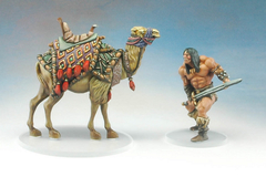 Camel&Conan.jpg
