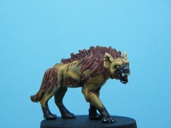 Une Hyène