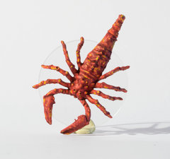 scorpion (1 sur 1).jpg