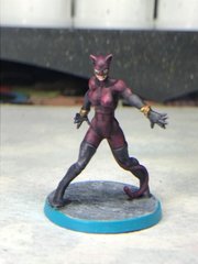 Catwoman (Alternative) 3.JPG