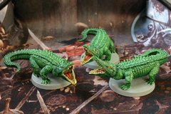 croco.jpg